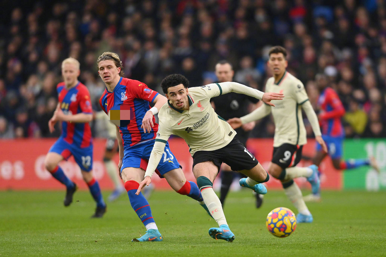 可少的组成 可少的组成